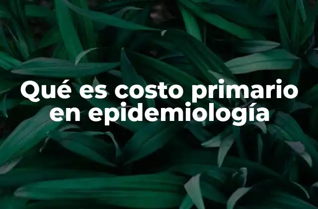 Qué es Costo Primario en Epidemiología 2 La importancia del costo primario en la toma de decisiones sanitarias