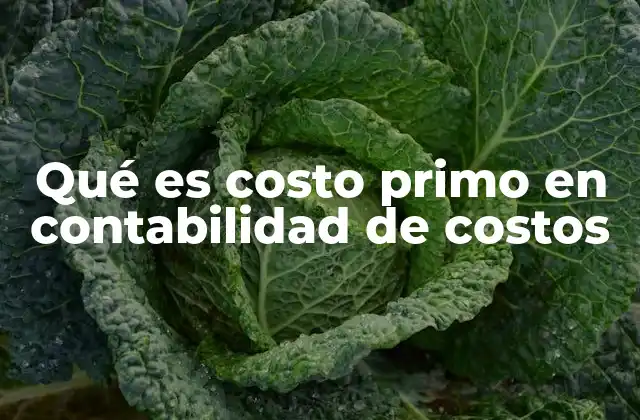 Qué es Costo Primo en Contabilidad de Costos