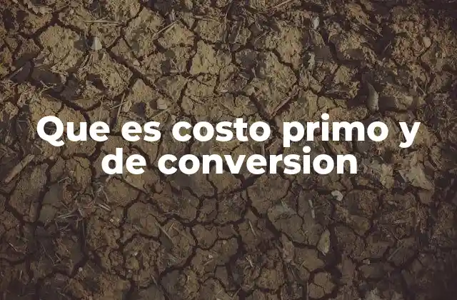 Que es Costo Primo y de Conversion