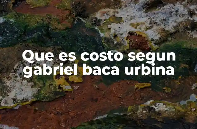 Que es Costo Segun Gabriel Baca Urbina