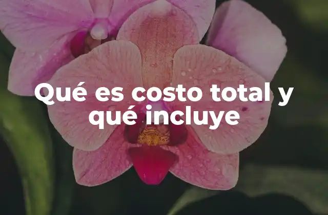 Qué es Costo Total y Qué Incluye