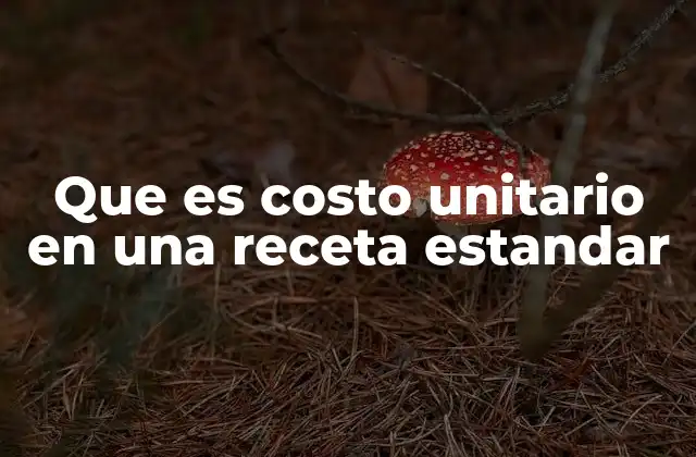 Que es Costo Unitario en una Receta Estandar