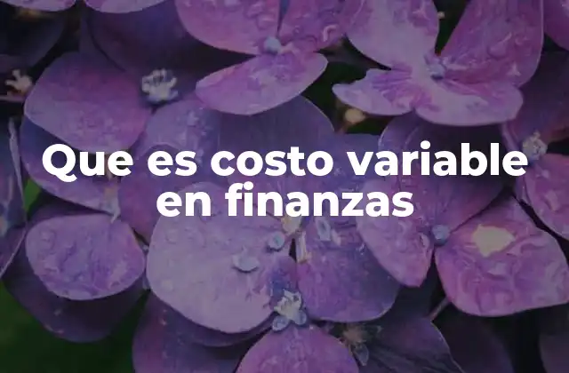 Que es Costo Variable en Finanzas