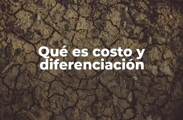 Estrategias de competitividad: más allá del costo y la diferenciación