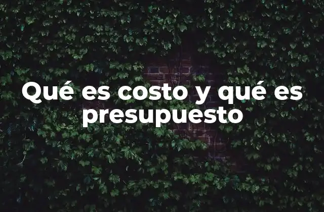 Qué es Costo y Qué es Presupuesto