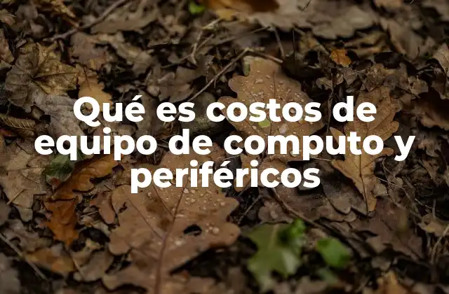 Qué es Costos de Equipo de Computo y Periféricos