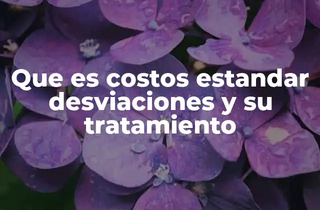 Que es Costos Estandar Desviaciones y Su Tratamiento