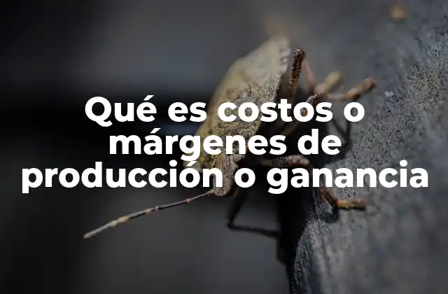 Qué es Costos o Márgenes de Producción o Ganancia