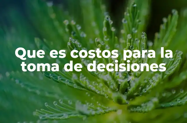 Que es Costos para la Toma de Decisiones