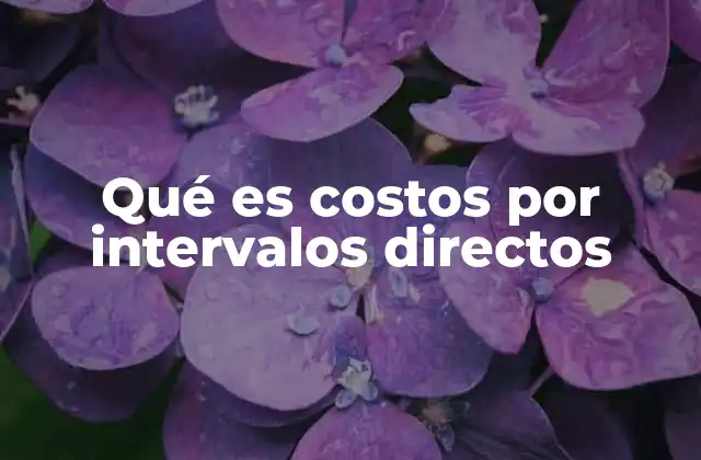 Qué es Costos por Intervalos Directos