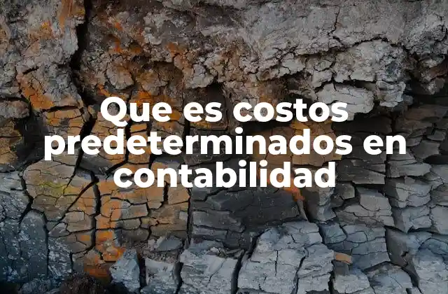 Que es Costos Predeterminados en Contabilidad 2 El papel de los costos predeterminados en la gestión empresarial