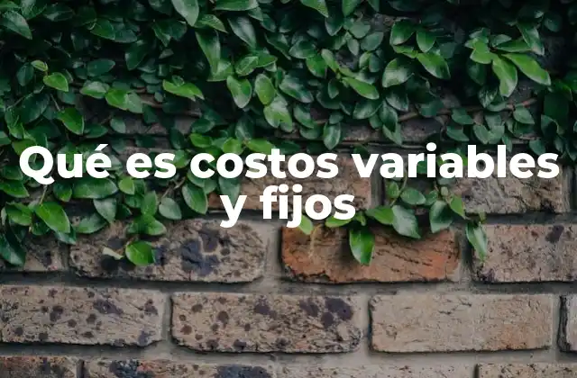 Qué es Costos Variables y Fijos