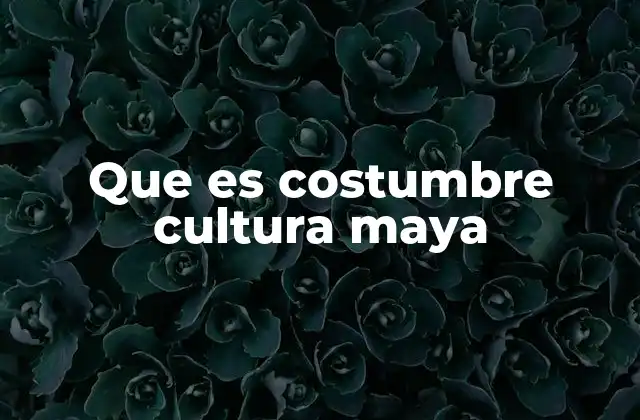 Que es Costumbre Cultura Maya