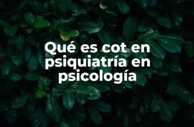 La importancia del enfoque COT en la comprensión de la salud mental