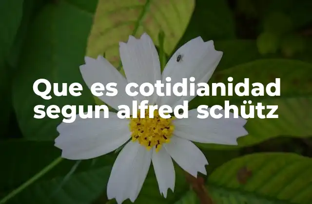 Que es Cotidianidad Segun Alfred Schütz
