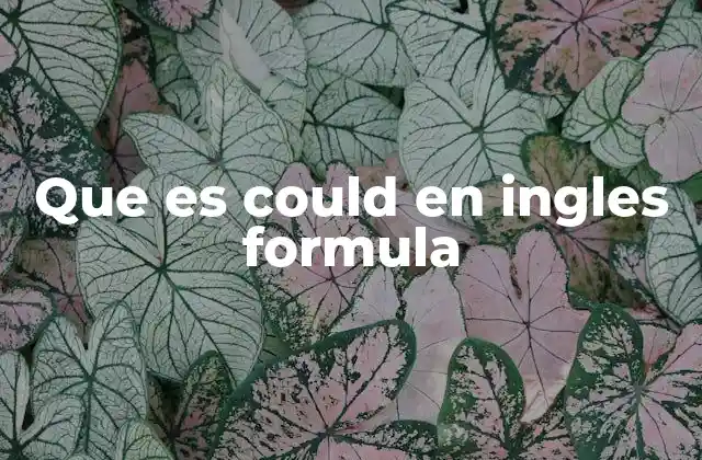 Que es Could en Ingles Formula