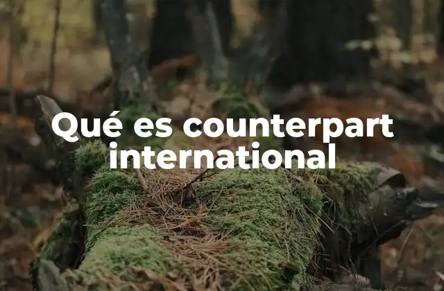 Qué es Counterpart International