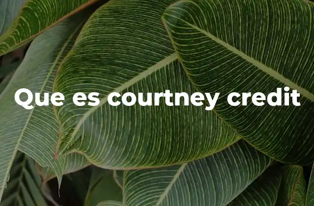 Que es Courtney Credit
