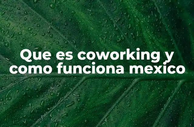 Que es Coworking y como Funciona Mexico