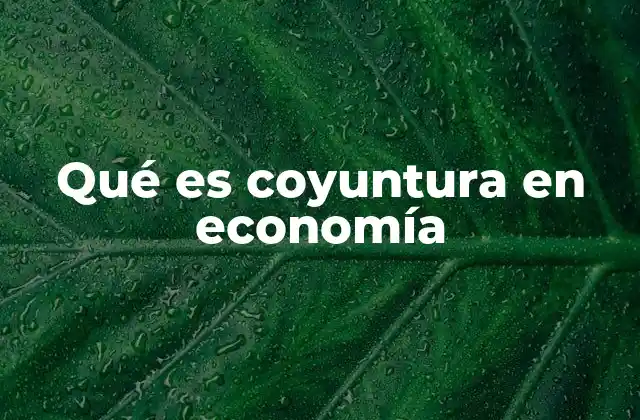 Qué es Coyuntura en Economía