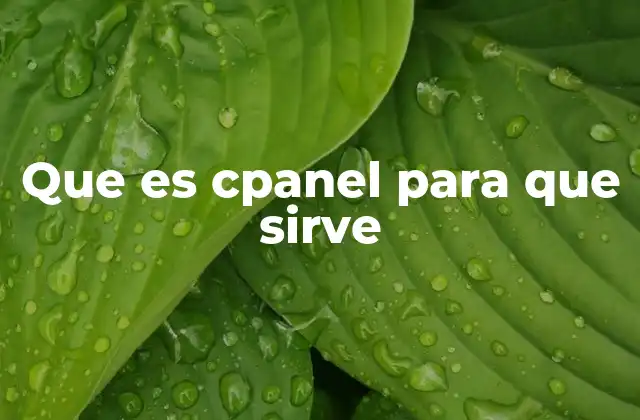 Que es Cpanel para que Sirve