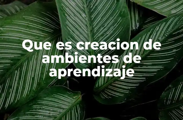 Diseñando espacios que fomenten el aprendizaje activo