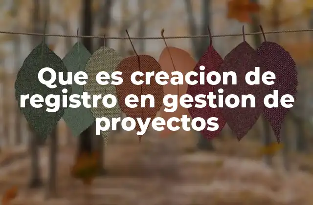 Que es Creacion de Registro en Gestion de Proyectos