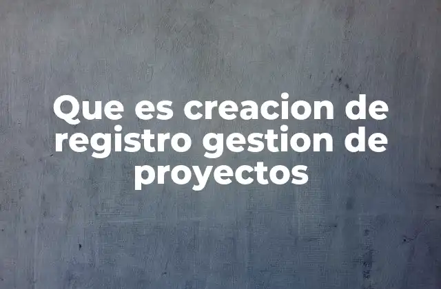 Que es Creacion de Registro Gestion de Proyectos
