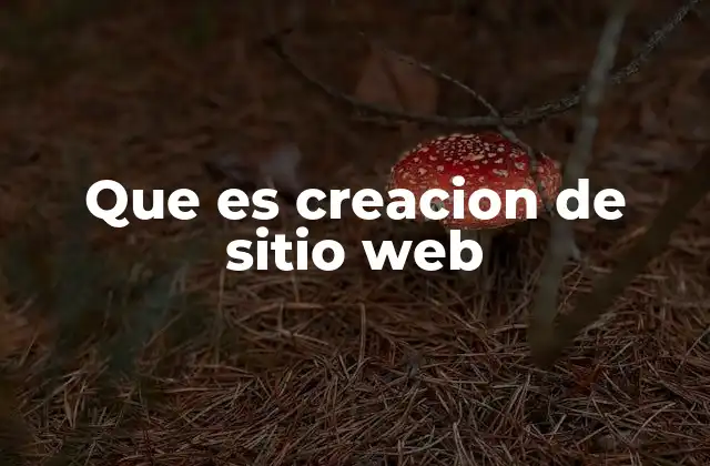 Que es Creacion de Sitio Web