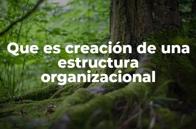Que es Creación de una Estructura Organizacional 2 Cómo una estructura organizacional impacta en la cultura empresarial