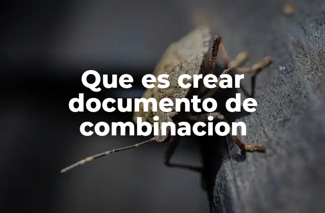 Que es Crear Documento de Combinacion 2 Cómo funciona el proceso de combinación de documentos