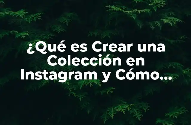 ¿qué es Crear una Colección en Instagram y Cómo Beneficia Tu Negocio?