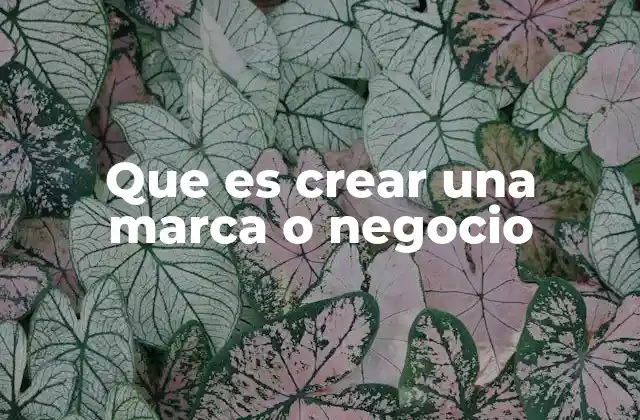Que es Crear una Marca o Negocio