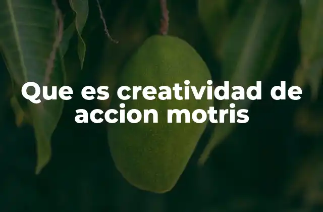 El cuerpo como instrumento de expresión creativa