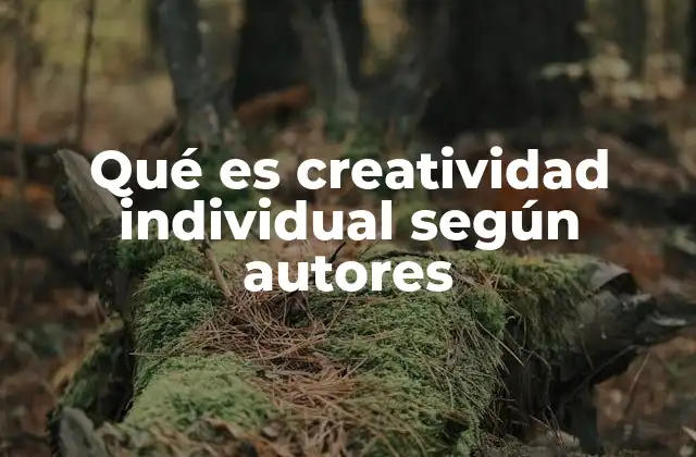 Qué es Creatividad Individual según Autores