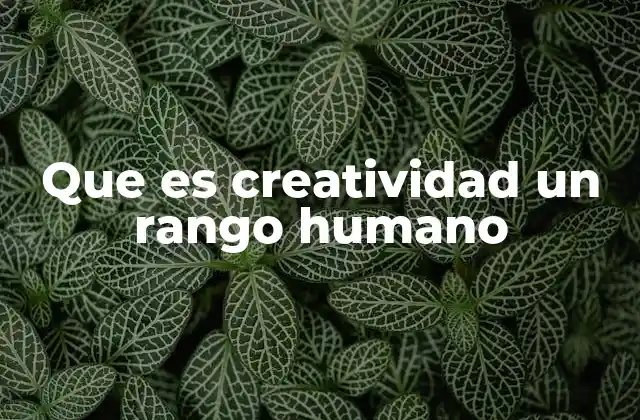 Que es Creatividad un Rango Humano