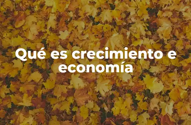 Qué es Crecimiento e Economía