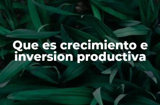 Que es Crecimiento e Inversion Productiva