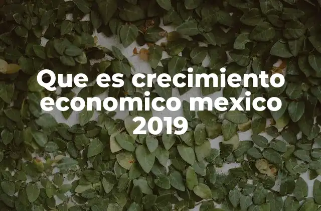 Que es Crecimiento Economico Mexico 2019