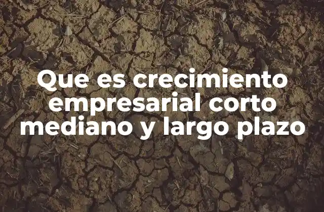 Que es Crecimiento Empresarial Corto Mediano y Largo Plazo