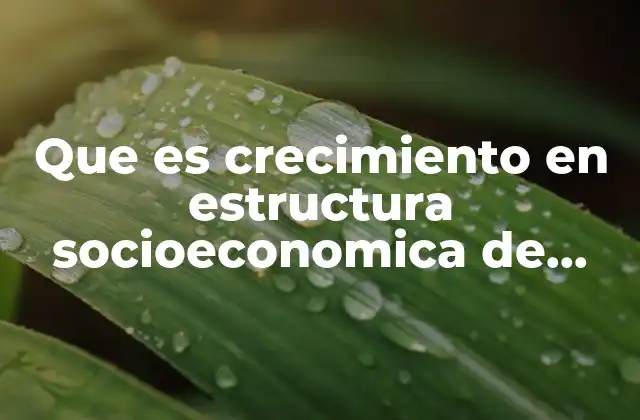 Que es Crecimiento en Estructura Socioeconomica de Mexico