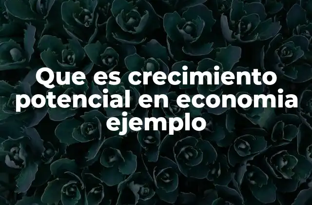 Que es Crecimiento Potencial en Economia Ejemplo
