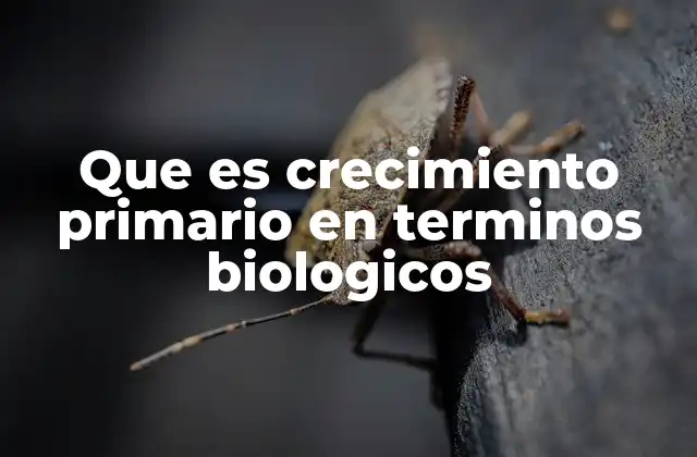 Que es Crecimiento Primario en Terminos Biologicos