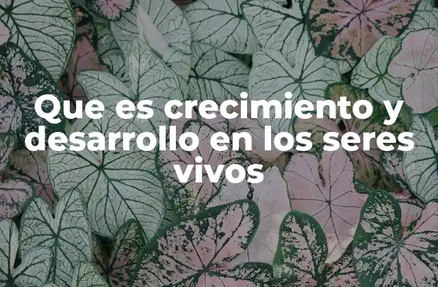 Que es Crecimiento y Desarrollo en los Seres Vivos