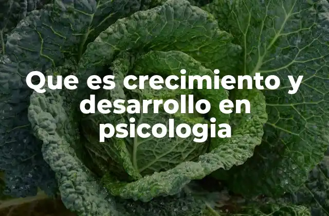 Que es Crecimiento y Desarrollo en Psicologia 2 El impacto del entorno en el crecimiento y desarrollo psicológico