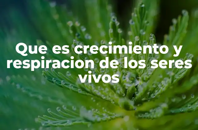 Que es Crecimiento y Respiracion de los Seres Vivos
