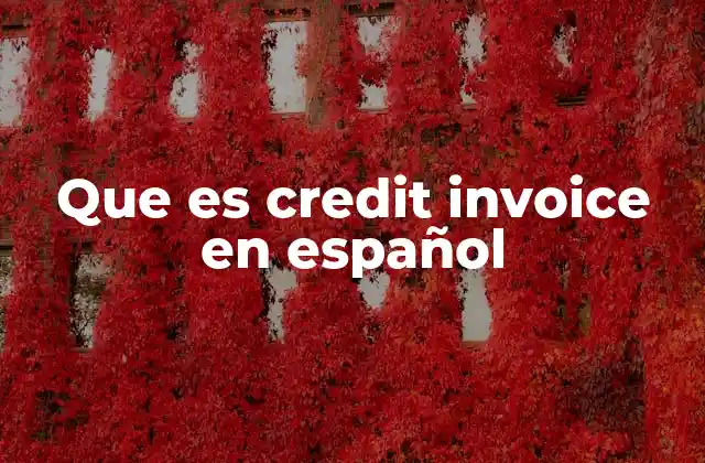 Que es Credit Invoice en Español 2 El papel de la factura de crédito en la gestión contable
