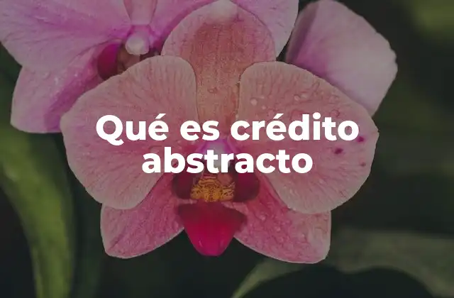 Qué es Crédito Abstracto