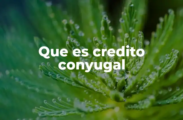 Que es Credito Conyugal