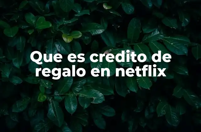 Que es Credito de Regalo en Netflix